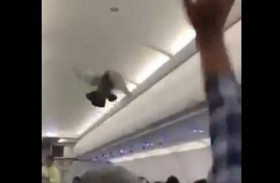 راكبان غير متوقعين يثيرا الفوضى في طائرة