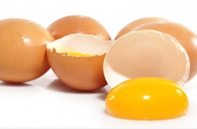 شركة تعاقب موظفيها المقصرين بتناول البيض نيئاً