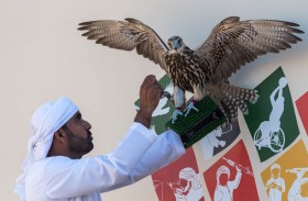 بطولة فخر الأجيال للصيد بالصقور تنطلق اليوم 