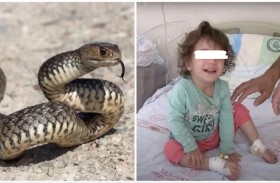 طفلة تعض ثعبانا ساما وتقتله