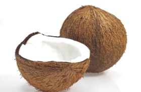 جوز الهند