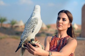 مجموعة الشارقة تحتفي باليوم العالمي للمرأة مع إقامات ساحرة وتجارب شاي الظهيرة الفاخرة