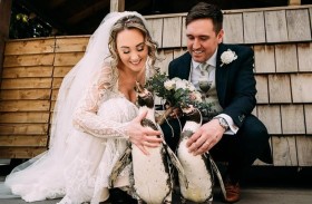 يستخدم بطاريق لمفاجأة عروسه ليلة الزفاف