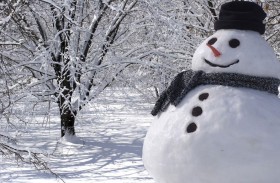 هجوم غريب على رجلي ثلج 