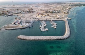 بلدية مدينة أبوظبي تنفذ حملة بجزيرة العالية لإزالة المخلفات والمشوهات