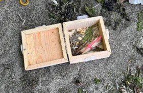 إصبع مبتور داخل صندوق