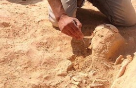 تحت مستشفى.. اكتشاف مقبرة أثرية في تونس