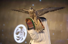 طرح تذاكر معرض أبوظبي الدولي للصيد والفروسية