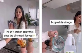 رذاذ سحري لتنظيف شحوم المطبخ