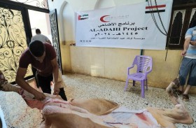 هيئة الهلال الإماراتي وأولاد عبيد يوزعان لحوم الأضاحي وكسوة العيد للأيتام والأسر المتعففة بمصر