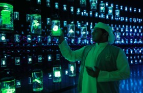 ناشئة المدام تطرح ثمانية برامج لتنمية معارف المشاركين وإبداعهم العلمي والفني والرياضي