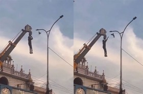 يخاطر بحياته لإنقاذ طائر علق بين أسلاك الكهرباء