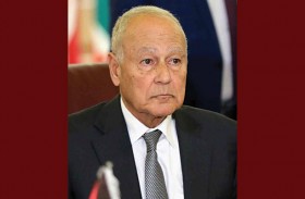 أبوالغيط : مجلس التعاون الخليجي لبنة أساسية في الصرح العربي