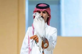 بيع صقر بـ 400 ألف ريال في «مزاد الرياض»