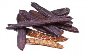 الخروب