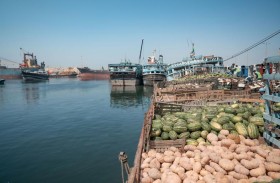 مكتب الوكيل الملاحي للسفن الخشبية في دبي يستقبل 3 آلاف سفينة خشبية خلال الربع الأول من 2024
