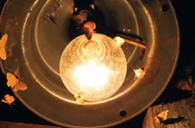 السبب الحقيقي لانجذاب الحشرات للأضواء الساطعة