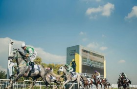 84 خيلاً تتنافس غدا في الأمسية الرابعة لمضمار جبل علي