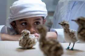 الصندوق الدولي للحفاظ على الحبارى يشارك في النسخة الثانية عشرة من المؤتمر العالمي للتربية البيئية الذي تستضيفه دولة الإمارات في مركز أبوظبي الوطني للمعارض