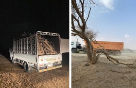 هيئة البيئة والمحميات الطبيعية بالشارقة تخالف متسببين فى تجريف التربة وإتلاف الغطاء النباتي