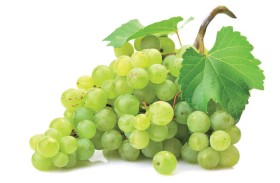 العنب 
