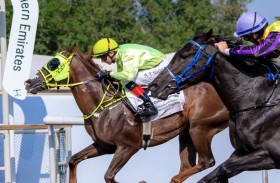 82 خيلاً في السباق الثالث لمضمار جبل علي احتفالاً بعيد الاتحاد