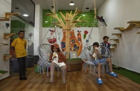 أول مقهى للقطط في قطاع غزة 