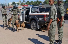 إرهابيون يسيطرون على ميناء رئيسي في موزمبيق