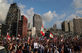 حتى القطط لم تسلم من أزمة لبنان