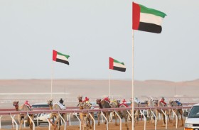 وقادة تحلق بناموس الشوط الأول و  القرم ينفرد بأفضل زمن