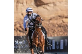 5 فرسان يمثلون «التقاط الأوتاد» في البطولة الدولية بمصر