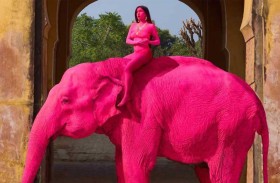 فيل وردي يثير عاصفة انتقادات 