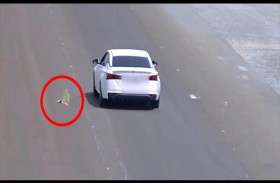 شرطة أبوظبي تخالف 162 سائقا لـ «إلقاء مخلفات أثناء القيادة» 