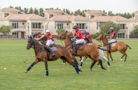 فوز كبير للحبتور والذئاب على «آر جي أف» وجهانجيري 