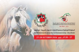 انطلاق البطولة الوطنية لجمعية الإمارات للخيول العربية اليوم بمشاركة 253 خيلا