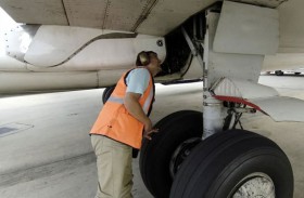 جثة متسلل في عجلة طائرة