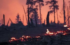 أكثر من ألف فرد طوارئ يكافحون حرائق غابات شرق ألمانيا