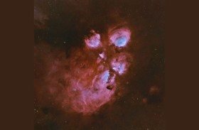 مرصد الختم يرصد مخلب القط من صحراء أبوظبي