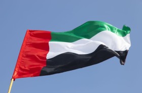استثمارات الإمارات الخارجية قيمة مضافة للاقتصاد العالمي ... «ورأس الحكمة» درة التاج