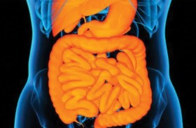 هل تتلاعب بكتيريا أمعائك بشهيتك لأطعمة معينة؟