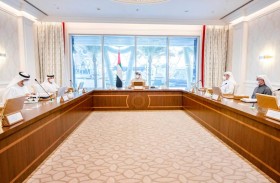 منصور بن زايد يترأس اجتماع اللجنة العليا بشأن قطاع الماء والكهرباء في أبوظبي