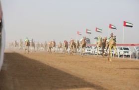 «الشبابية» تحسم الجولة الأولى للحقايق والثانية  لـ «مروض» و «الفاتن» يحقق أفضل زمن