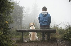 الكلاب تشم الإجهاد من عرق الإنسان وأنفاسه