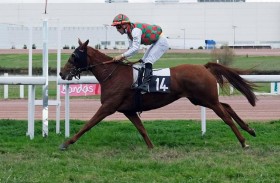 اليوم.. انطلاق كأس «الوثبة ستاليونز» للخيول العربية في بلجيكا وإيطاليا وفرنسا