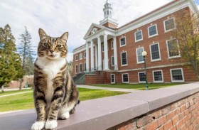 هرّ يحصل على دكتوراة فخرية