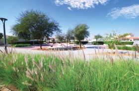 بلدية العين تنفذ مشروع صيانة الحدائق و الزراعات التجميلية في الهير وسويحان بتكلفة 61 مليون درهم