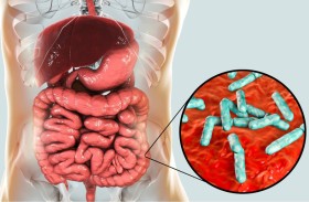 ما أثر البكتيريا الموجودة بأمعائنا  في فاعلية بعض الأدوية؟ 