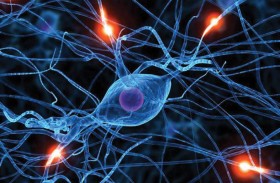 زراعة الخلايا الجذعية تُعيد الأمل للرجال المصابين بالعقم