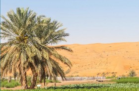 بلدية مدينة أبوظبي تنفذ حملة لتوعية أصحاب العزب والمزارع لتجنب الرمي العشوائي للنفايات