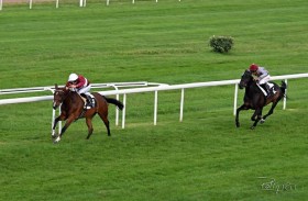 المهرة «سيرين» تتوّج بكأس فاطمة بنت مبارك للخيول العربية الأصيلة في فرنسا